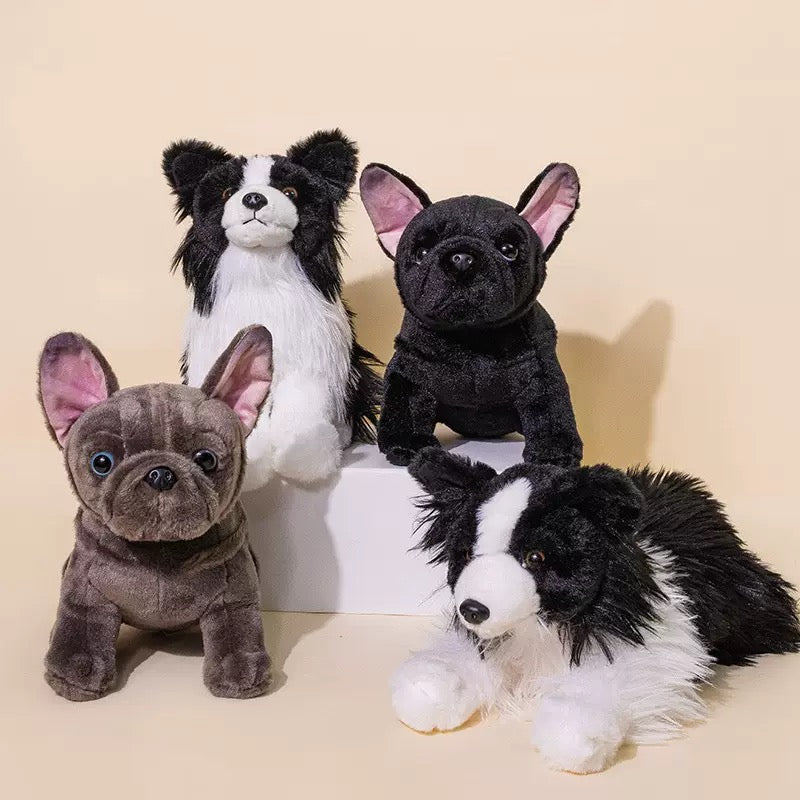 Find Your New Favorite Friend