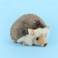 Amber Fable Adorable Hedgehog Plush Toy