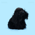 Amber Fable Black Poodle Plush Stuffed Dog
